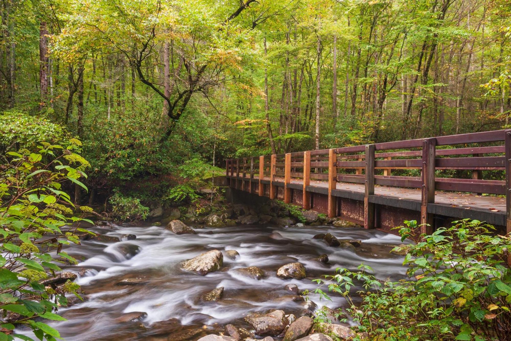 Mountain Lake Lodge, Hot Tub, Theater Room, 1089 Free Tickets Each Paid Day, Dollywood And More เซอเวียร์วีล ภายนอก รูปภาพ